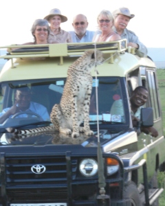 Cheetah Masai Mara '06